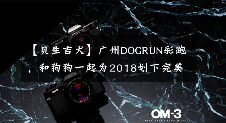 【贝生吉犬】广州DOGRUN彩跑，和狗狗一起为2018划下完美句号