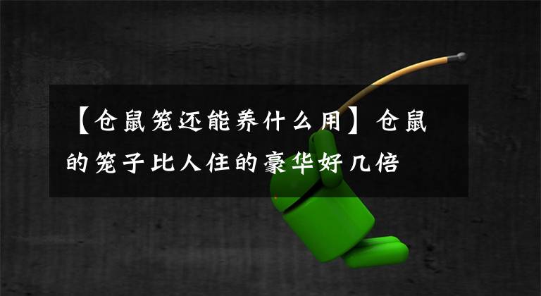 【仓鼠笼还能养什么用】仓鼠的笼子比人住的豪华好几倍