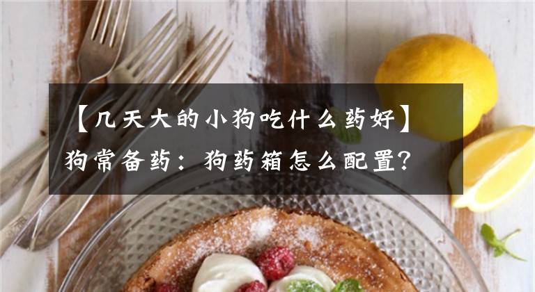 【几天大的小狗吃什么药好】狗常备药：狗药箱怎么配置？文章配图