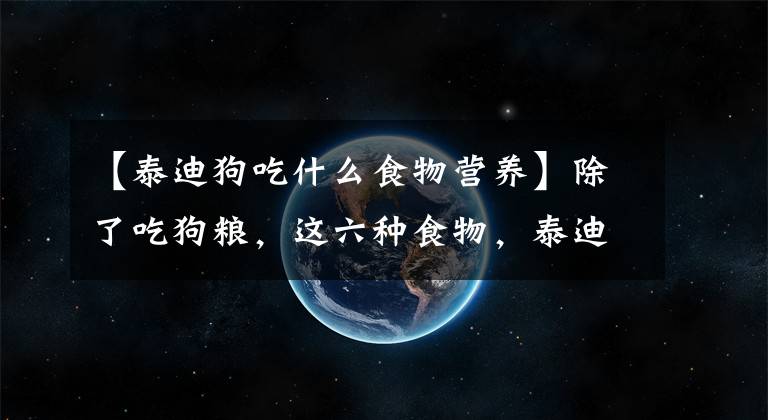 【泰迪狗吃什么食物营养】除了吃狗粮，这六种食物，泰迪越吃越健康，一般家庭都有！文章配图