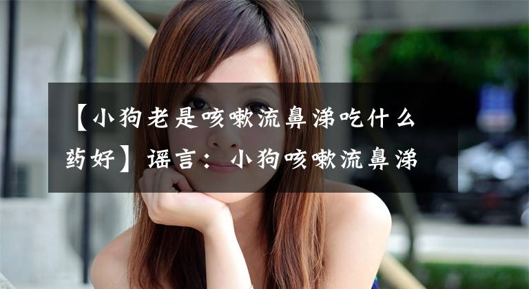 【小狗老是咳嗽流鼻涕吃什么药好】谣言：小狗咳嗽流鼻涕就感冒。我们要正确对待这些症状。文章配图