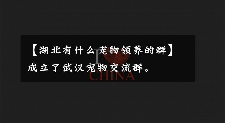 【湖北有什么宠物领养的群】成立了武汉宠物交流群。