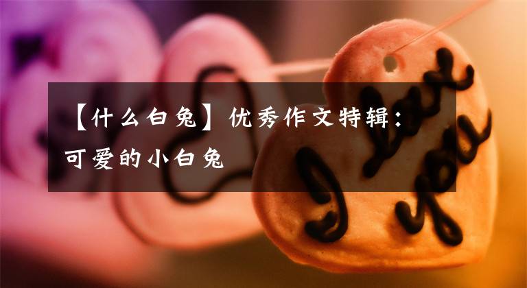 【什么白兔】优秀作文特辑：可爱的小白兔文章配图