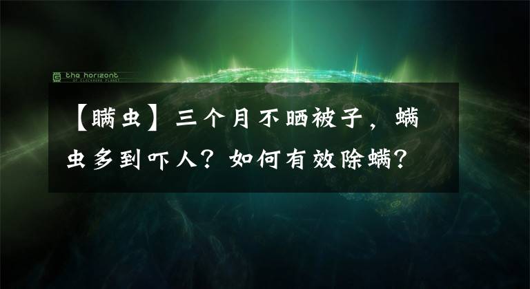 【瞒虫】三个月不晒被子，螨虫多到吓人？如何有效除螨？告诉你答案