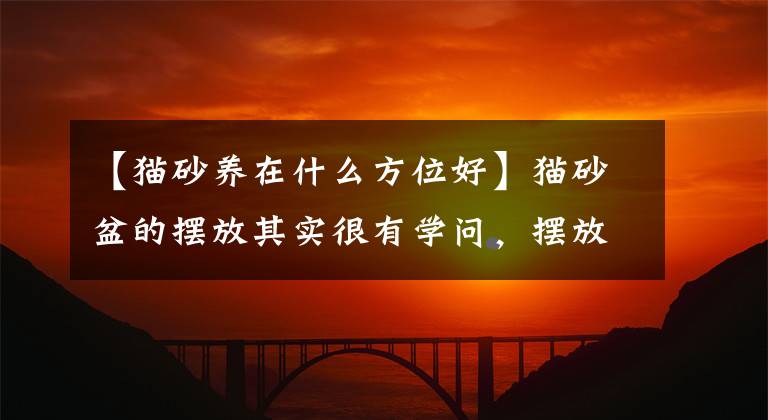 【猫砂养在什么方位好】猫砂盆的摆放其实很有学问，摆放不当会使房间里臭气熏天。文章配图