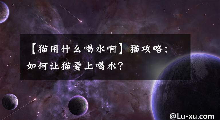 【猫用什么喝水啊】猫攻略：如何让猫爱上喝水？文章配图