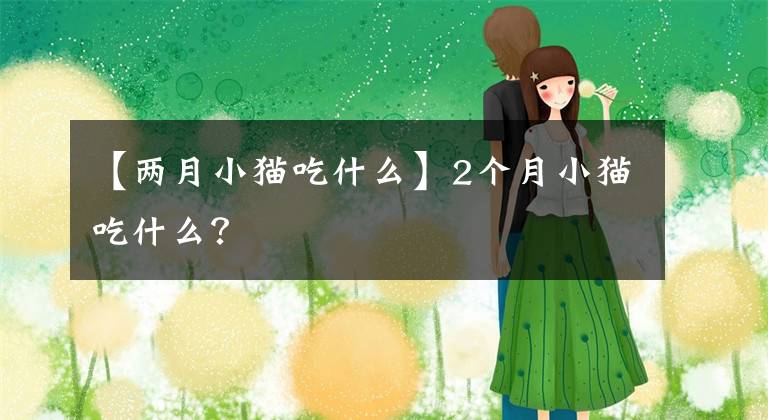 【两月小猫吃什么】2个月小猫吃什么？文章配图