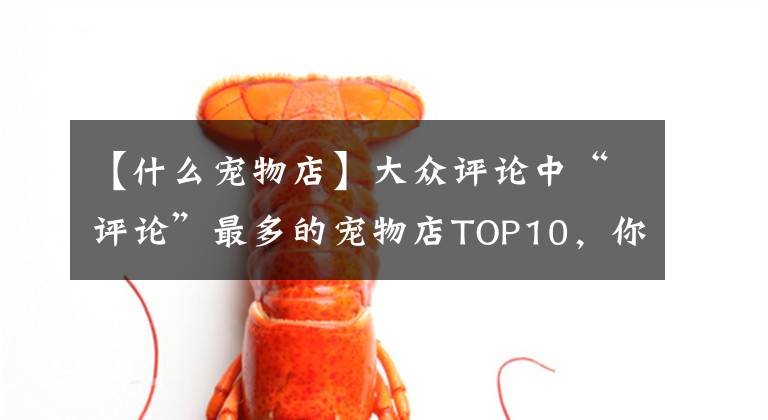 【什么宠物店】大众评论中“评论”最多的宠物店TOP10，你去过吗？文章配图