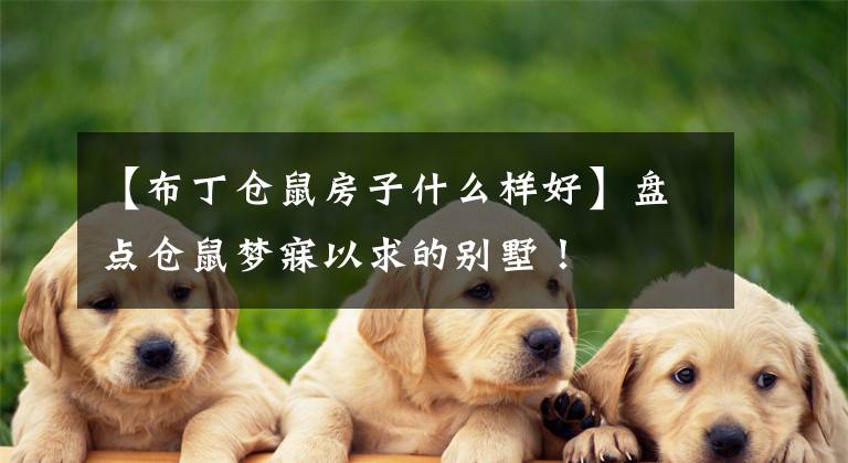 【布丁仓鼠房子什么样好】盘点仓鼠梦寐以求的别墅！文章配图