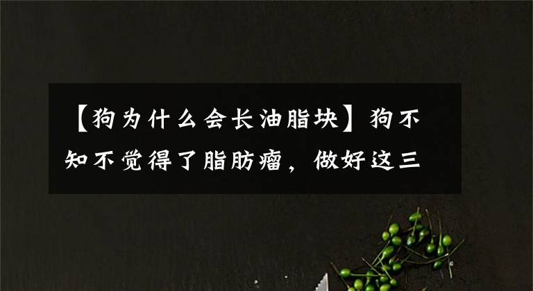 【狗为什么会长油脂块】狗不知不觉得了脂肪瘤，做好这三件事是主人安心的关键文章配图