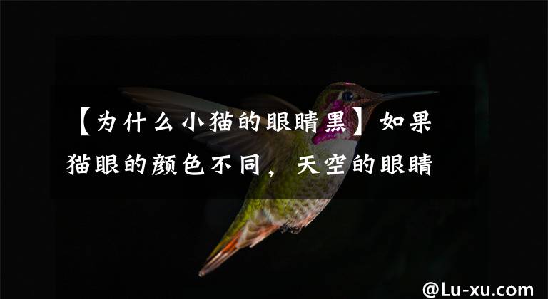 【为什么小猫的眼睛黑】如果猫眼的颜色不同，天空的眼睛会打开吗？不要做戏，猫主人要注意猫眼异样症文章配图