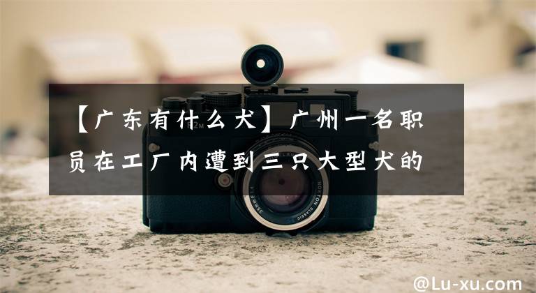 【广东有什么犬】广州一名职员在工厂内遭到三只大型犬的袭击而死亡，负责人和养犬人受到了刑罚文章配图