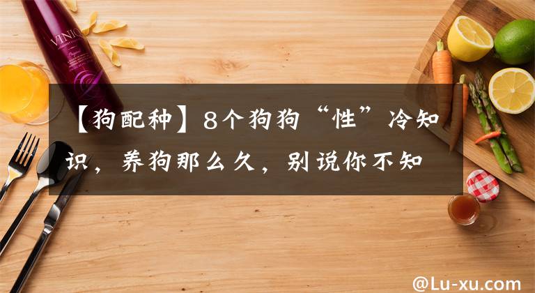 【狗配种】8个狗狗“性”冷知识，养狗那么久，别说你不知道文章配图