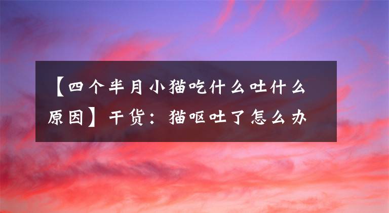 【四个半月小猫吃什么吐什么原因】干货：猫呕吐了怎么办？有很多原因。主人记住要“注射正确的药”文章配图