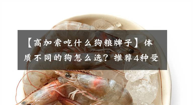 【高加索吃什么狗粮牌子】体质不同的狗怎么选？推荐4种受欢迎的狗粮文章配图