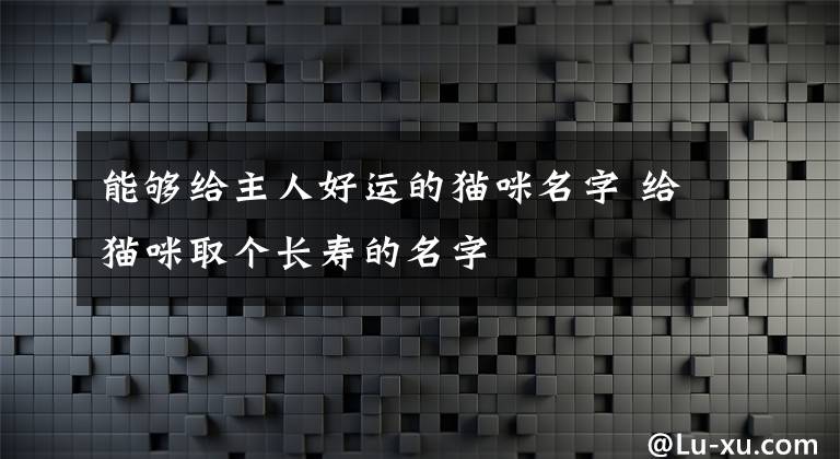 能够给主人好运的猫咪名字 给猫咪取个长寿的名字