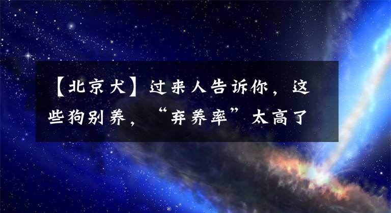 【北京犬】过来人告诉你，这些狗别养，“弃养率”太高了