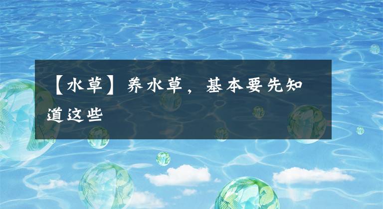 【水草】养水草，基本要先知道这些