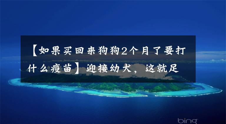 【如果买回来狗狗2个月了要打什么疫苗】迎接幼犬，这就足够了：全面解决疫苗、驱虫剂、洗澡、喂养四个难题即可。文章配图