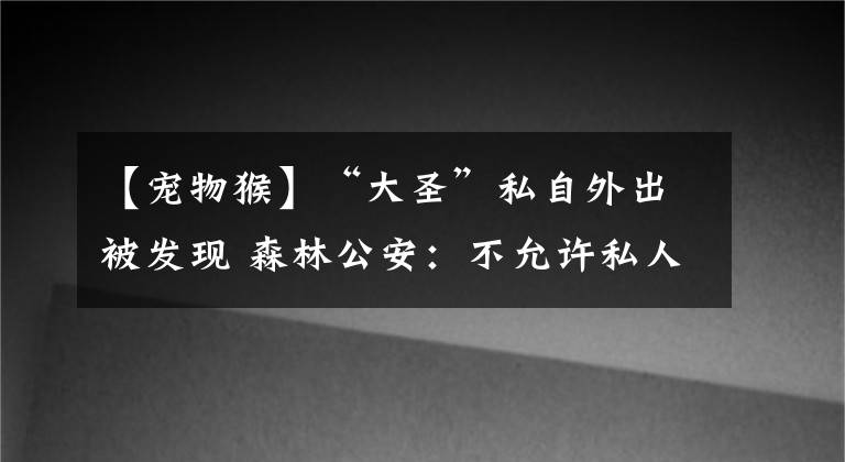 【宠物猴】“大圣”私自外出被发现 森林公安：不允许私人饲养