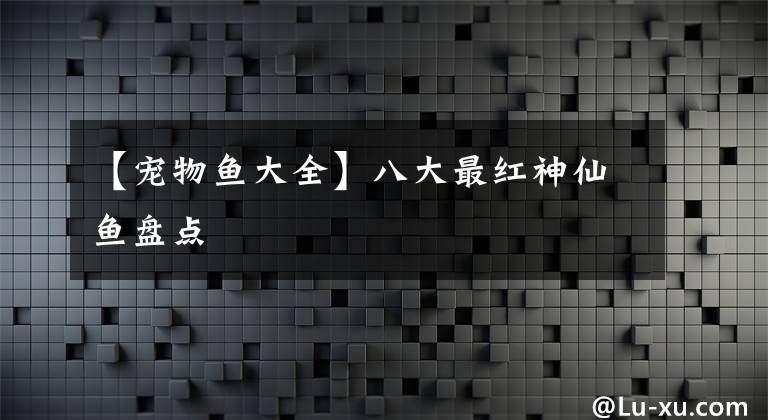 【宠物鱼大全】八大最红神仙鱼盘点