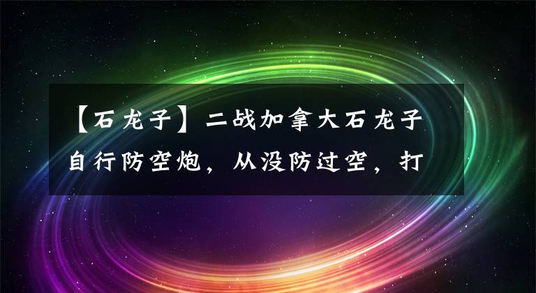 【石龙子】二战加拿大石龙子自行防空炮，从没防过空，打得德军步兵哭爹喊娘