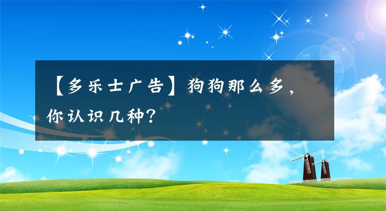 【多乐士广告】狗狗那么多，你认识几种？