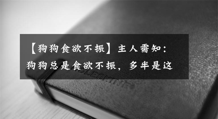 【狗狗食欲不振】主人需知：狗狗总是食欲不振，多半是这7个缘由