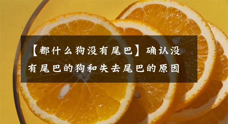 【都什么狗没有尾巴】确认没有尾巴的狗和失去尾巴的原因。文章配图