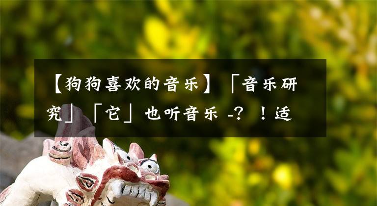 【狗狗喜欢的音乐】「音乐研究」「它」也听音乐 -？！适合宠物的古典音乐