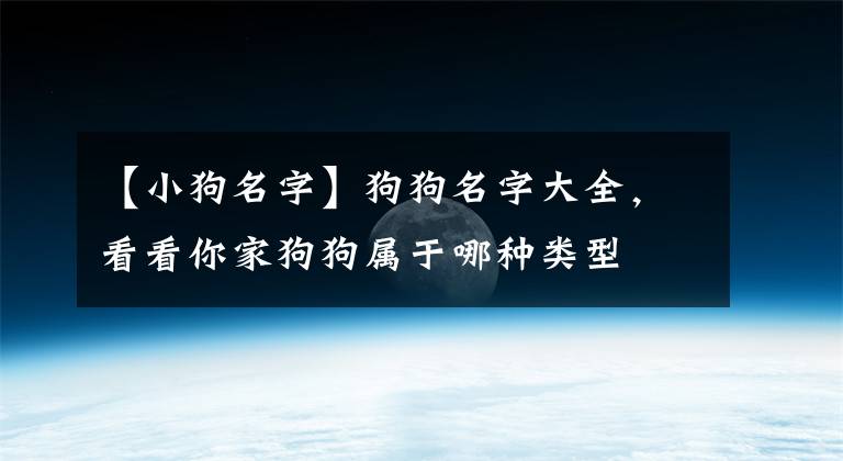 【小狗名字】狗狗名字大全，看看你家狗狗属于哪种类型