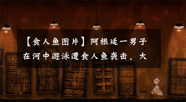 【食人鱼图片】阿根廷一男子在河中游泳遭食人鱼袭击，大脚趾被咬掉一截