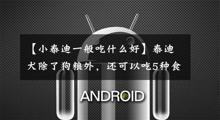 【小泰迪一般吃什么好】泰迪犬除了狗粮外，还可以吃5种食物，不仅健康，还可以美貌！文章配图