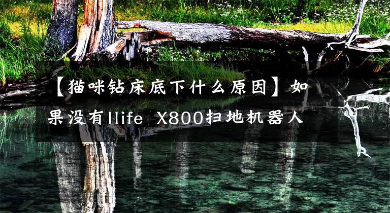 【猫咪钻床底下什么原因】如果没有Ilife X800扫地机器人，怎么能说懒呢？文章配图