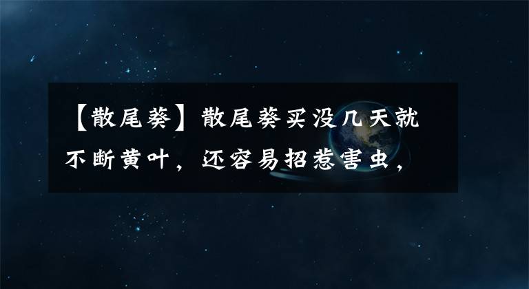 【散尾葵】散尾葵买没几天就不断黄叶，还容易招惹害虫，真有这么难养吗？