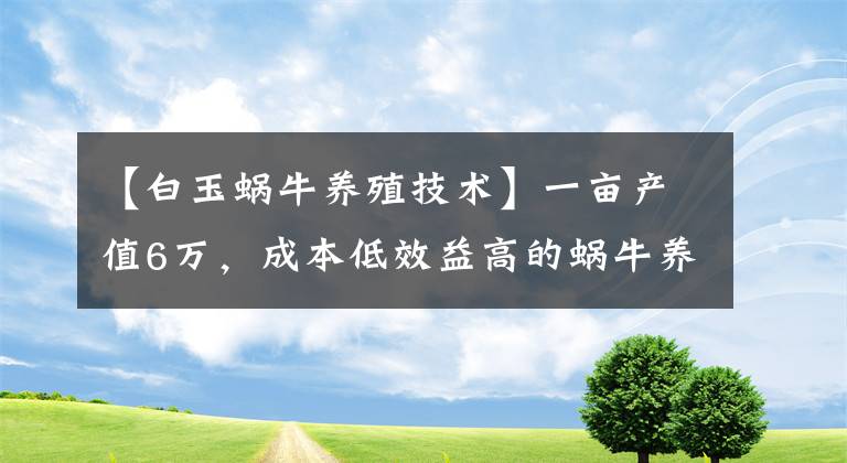 【白玉蜗牛养殖技术】一亩产值6万，成本低效益高的蜗牛养殖