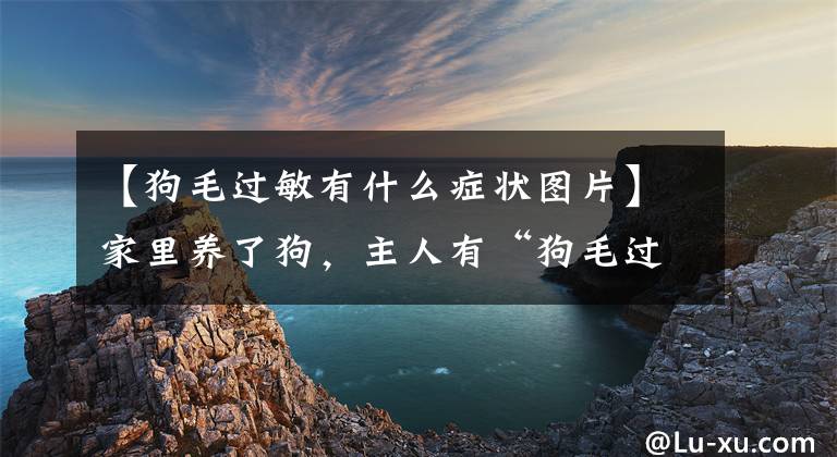 【狗毛过敏有什么症状图片】家里养了狗，主人有“狗毛过敏”，选择外卖还是继续饲养？文章配图