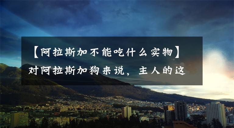 【阿拉斯加不能吃什么实物】对阿拉斯加狗来说，主人的这种行为就像是“酷刑”文章配图