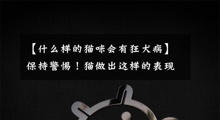 【什么样的猫咪会有狂犬病】保持警惕！猫做出这样的表现，可能是狂犬病的征兆文章配图