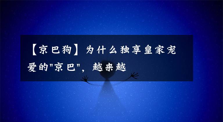 【京巴狗】为什么独享皇家宠爱的"京巴"，越来越少人养？