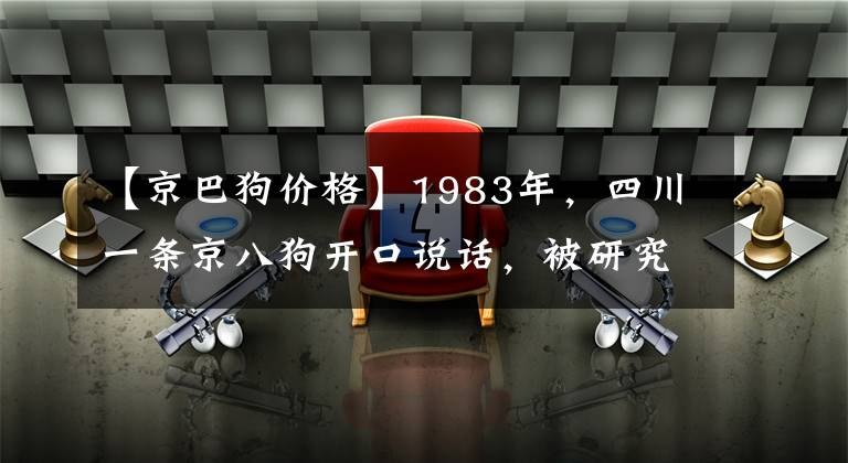 【京巴狗价格】1983年，四川一条京八狗开口说话，被研究所买去，这是真还是假