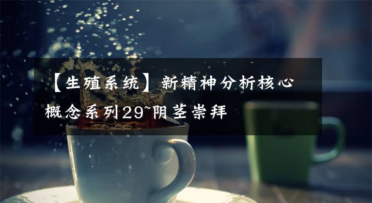 【生殖系统】新精神分析核心概念系列29~阴茎崇拜