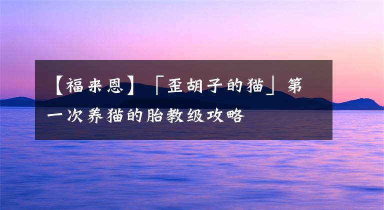 【福来恩】「歪胡子的猫」第一次养猫的胎教级攻略