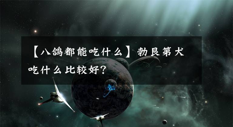 【八鸽都能吃什么】勃艮第犬吃什么比较好？