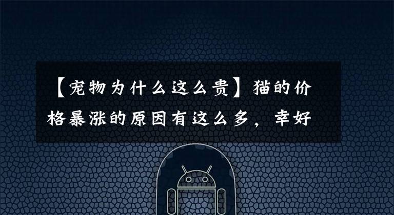 【宠物为什么这么贵】猫的价格暴涨的原因有这么多，幸好我选择了领养。文章配图
