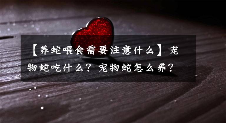 【养蛇喂食需要注意什么】宠物蛇吃什么？宠物蛇怎么养？