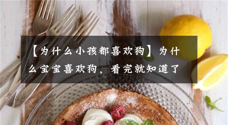 【为什么小孩都喜欢狗】为什么宝宝喜欢狗，看完就知道了。文章配图