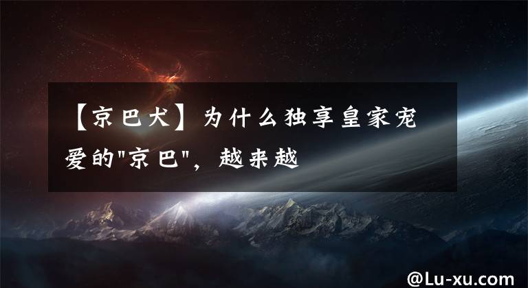 【京巴犬】为什么独享皇家宠爱的"京巴"，越来越少人养？