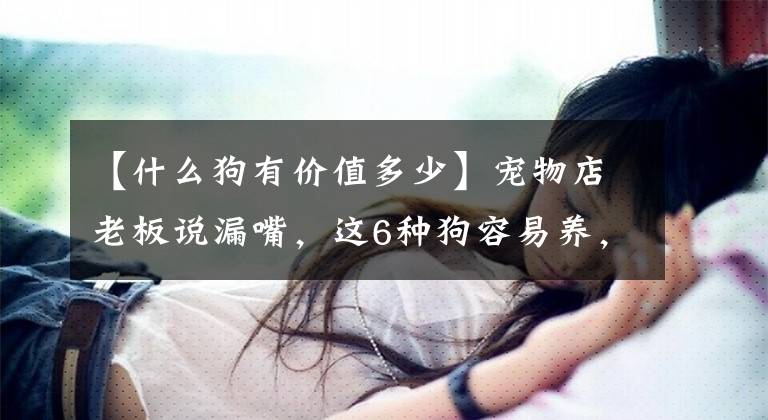 【什么狗有价值多少】宠物店老板说漏嘴，这6种狗容易养，不容易生病文章配图