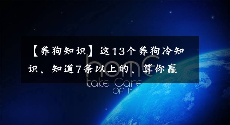 【养狗知识】这13个养狗冷知识，知道7条以上的，算你赢